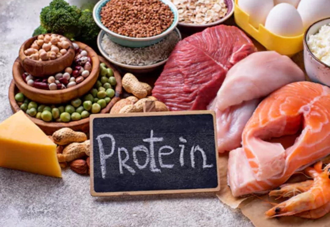 Read more about the article Top High Rich Protein Foods