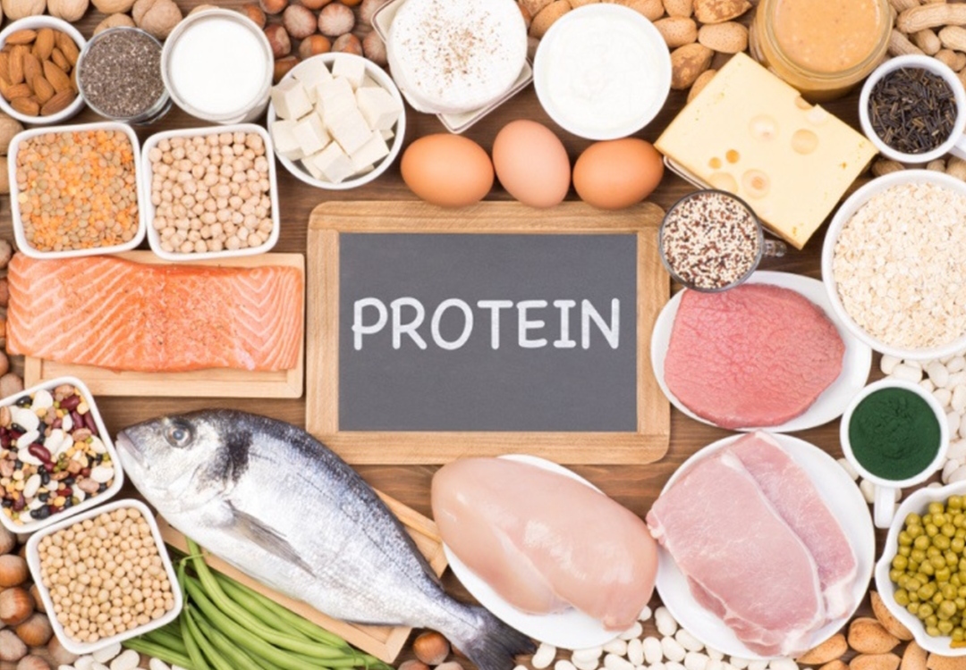You are currently viewing Healthy Foods Rich In Protein