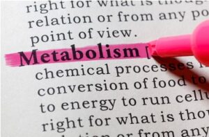 Read more about the article <strong>Your guide to Best Metabolism boosters</strong>