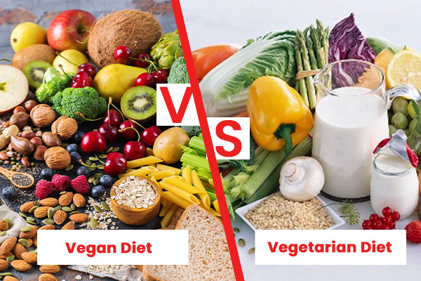 You are currently viewing VEGAN VS VEGETARIAN DIET