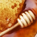 INDIA’S ORGANIC HONEYPEDIA