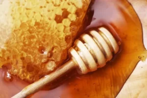 Read more about the article INDIA’S ORGANIC HONEYPEDIA