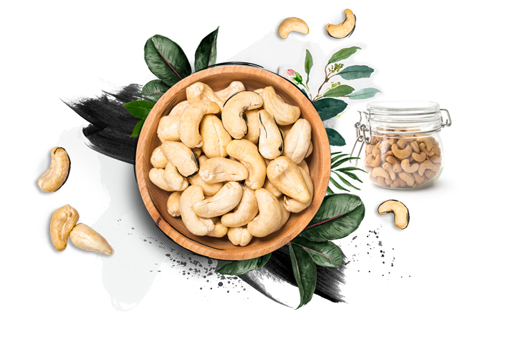 You are currently viewing 16 health benefits of cashew