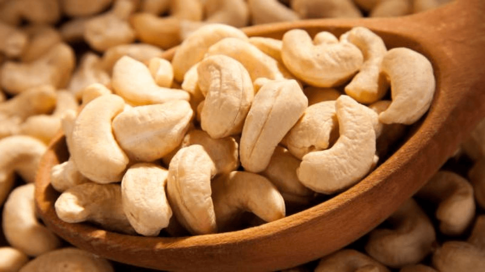 You are currently viewing Cashews: everything to know about it
