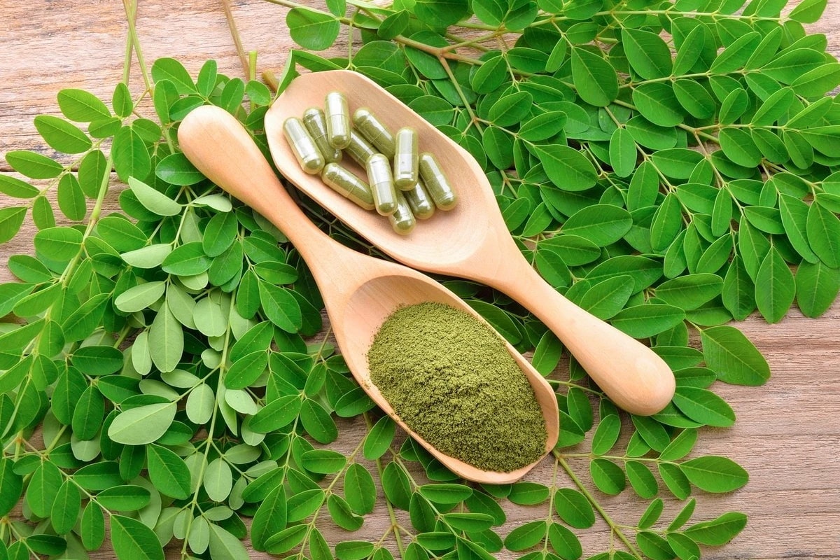 Read more about the article MORINGA POWDER FOR WEIGHT LOSS