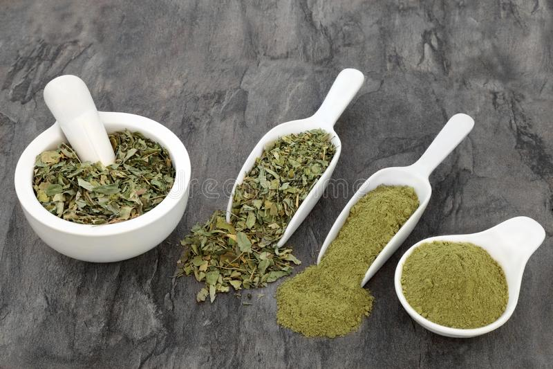 Moringa in different forms