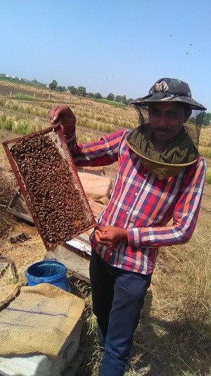 Nisarg Organic – Farm, Nutrition Honey, 1kg