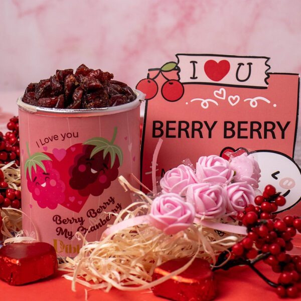 DIBHA – Valentines Special Masala Cranberry 100g
