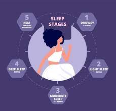 Read more about the article The Secrets of the Sleep Cycle